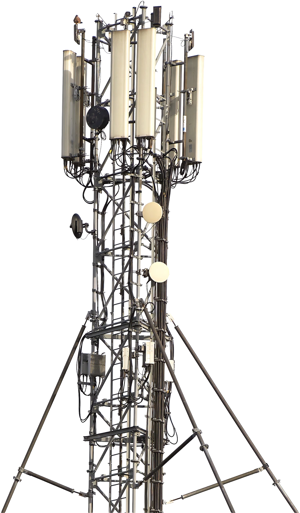 top of cell tower